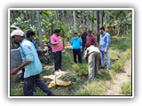 Demonstration on Medicinal Plant based agroforestry System